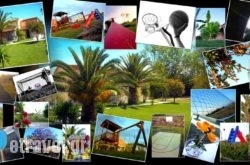 Demis Apartments hollidays