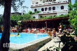 Afrogialis hollidays