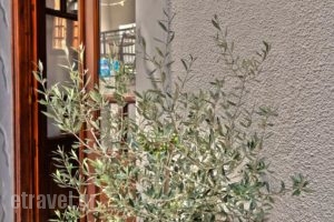 Golden Beach Studios_lowest prices_in_Hotel_Cyclades Islands_Naxos_Naxos chora