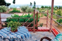 Holiday Home Astros Peloponnese hollidays Holiday Home Astros Peloponnese hollidays