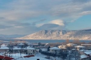 Karipidis Hotel_best deals_Hotel_Macedonia_Florina_Aetos