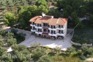 Almyros Studios & Apartments_accommodation_in_Apartment_Ionian Islands_Kefalonia_Kefalonia'st Areas