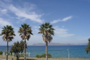 Andromeda Hotel Apartments_travel_packages_in_Dodekanessos Islands_Kos_Kos Chora