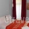 Hotel Vasilis_holidays_in_Hotel_Peloponesse_Argolida_Nafplio