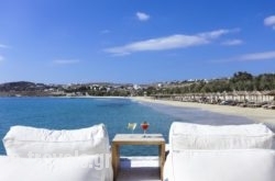 Aphrodite Beach Hotel & Resort  