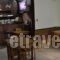 Argo Hotel_best deals_Hotel_Central Greece_Attica_Athens