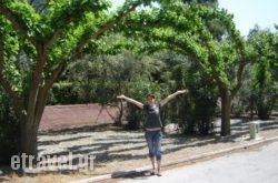 Rovies Camping hollidays Rovies Camping hollidays