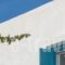 Andros Maisonettes_lowest prices_in_Hotel_Cyclades Islands_Andros_Andros City