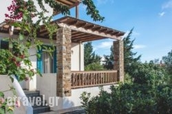 Andros Maisonettes hollidays Andros Maisonettes hollidays