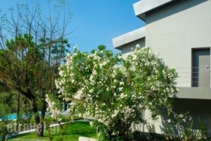 Sani Green Apartments_best deals_Apartment_Macedonia_Halkidiki_Kassandreia