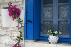 Petrino hollidays Petrino hollidays