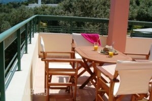 Alkistis Villa_lowest prices_in_Villa_Crete_Rethymnon_Rethymnon City