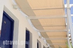 Drakos Twins George hollidays