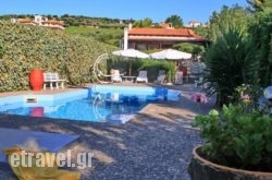 I.N.Kazantzakis hollidays