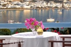 Paros Paradise Apartments hollidays Paros Paradise Apartments hollidays