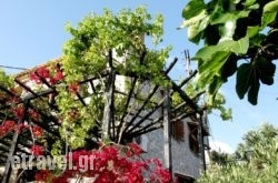 Papanestoras Apartments hollidays