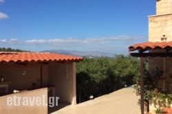 Villa Elina hollidays Villa Elina hollidays