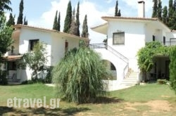 Katerina Apartments hollidays Katerina Apartments hollidays