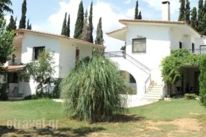 Katerina Apartments_accommodation_in_Apartment_Thessaly_Magnesia_Pilio Area