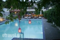 Villa Dolphins hollidays Villa Dolphins hollidays