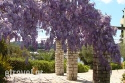 Alexandros & Gerekos Apartments hollidays