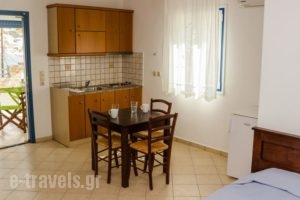 Almar Apartments_best deals_Apartment_Cyclades Islands_Andros_Batsi