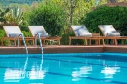 Bitzaro Palace hollidays Bitzaro Palace hollidays