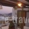 Aiolia Studios_lowest prices_in_Hotel_Cyclades Islands_Syros_Syros Rest Areas