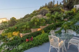 Villa Coral_best deals_Villa_Central Greece_Attica_Markopoulo