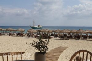 Elia Beach_holidays_in_Hotel_Cyclades Islands_Mykonos_Mykonos ora