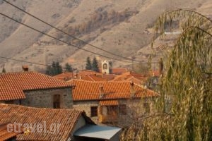 To Petrino Guesthouse_holidays_in_Hotel_Macedonia_Florina_Agios Germanos