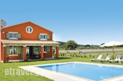 Pitteri hollidays Pitteri hollidays