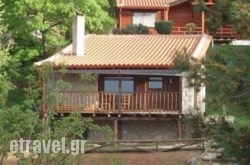 Tetrapolis hollidays