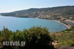 Sonia Studios hollidays