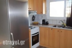 White House hollidays