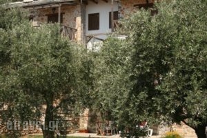 Alexis Villas_best deals_Villa_Aegean Islands_Thasos_Thasos Chora