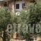Alexis Villas_best deals_Villa_Aegean Islands_Thasos_Thasos Chora