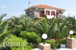 Acropol hollidays Acropol hollidays