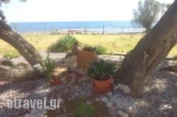 Nicholas Beach Studios hollidays Nicholas Beach Studios hollidays