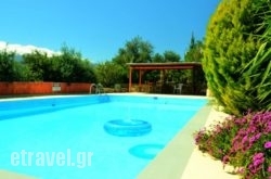 Anna-Malai Penthouse hollidays Anna-Malai Penthouse hollidays