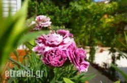 Yulia Studios hollidays Yulia Studios hollidays