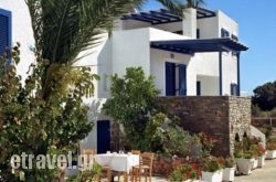 Holidays In Paros hollidays Holidays In Paros hollidays