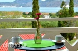 Villa Reverenza hollidays