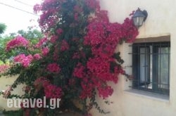 Petra & Elia hollidays