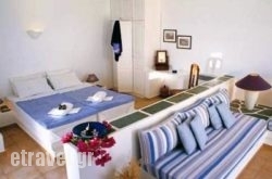 Anemomilos hollidays