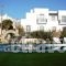 Villa Katerina Paros hollidays