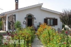 Ktima Ellopia hollidays Ktima Ellopia hollidays