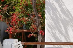Villa Pinelopi_lowest prices_in_Villa_Cyclades Islands_Mykonos_Mykonos ora