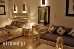 Diplos Studios hollidays