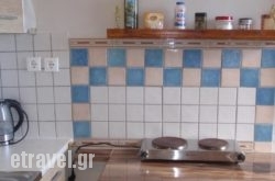 Traditional Studio hollidays Traditional Studio hollidays